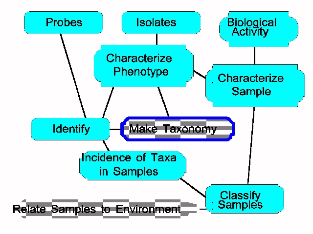 IRRO Scheme